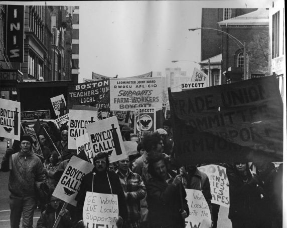 (3689) Gallo Boycott, demonstration, Boston Massachusetts (3689) Gallo Boycott, demonstration, Boston Massachusetts